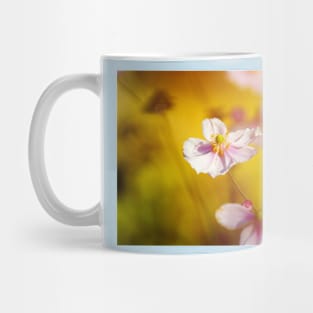 Anemone flower at sunset against blurry Mug